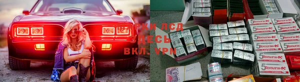 ешки Аркадак