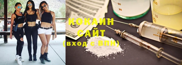 шишки Арсеньев