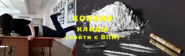 ешки Аркадак