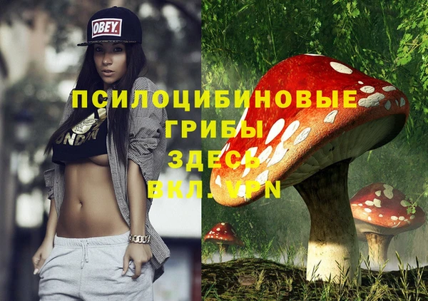 ешки Аркадак