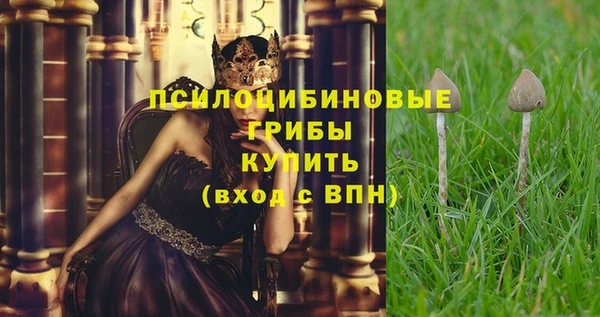 шишки Арсеньев