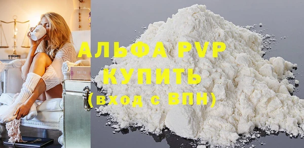 шишки Арсеньев