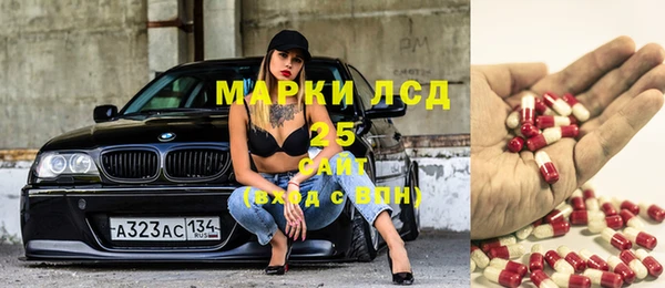 шишки Арсеньев