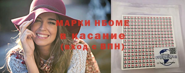 шишки Арсеньев