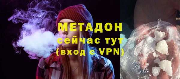 шишки Арсеньев